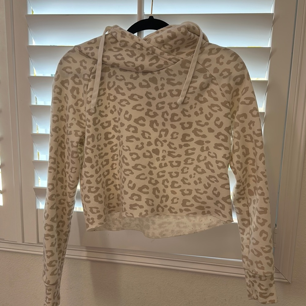 Abercrombie & Fitch Cropped Hoodie